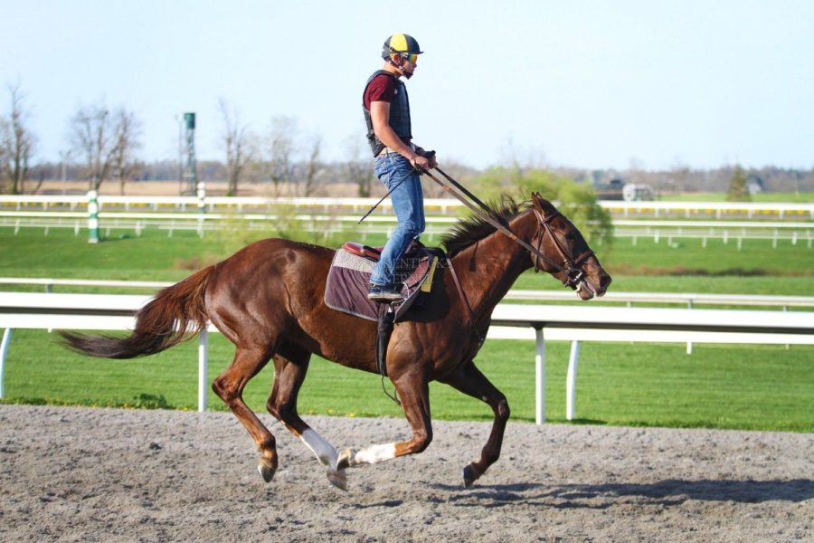 Brian+Pena+runs+his+horse+for+exercise+at+Keeneland+on+Sunday.+Photo+by+Zach+Brake
