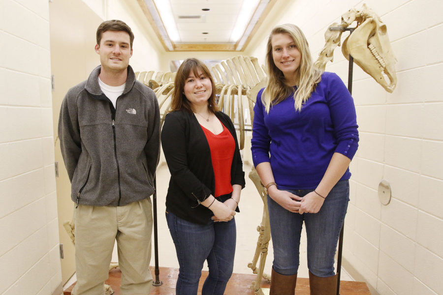 Ben Martin, left, Julia Fabiani, middle, and Stefanie Pagano, right, are working to build up Race Assured, their business venture to promote research that predicts when horses will sustain injuries.