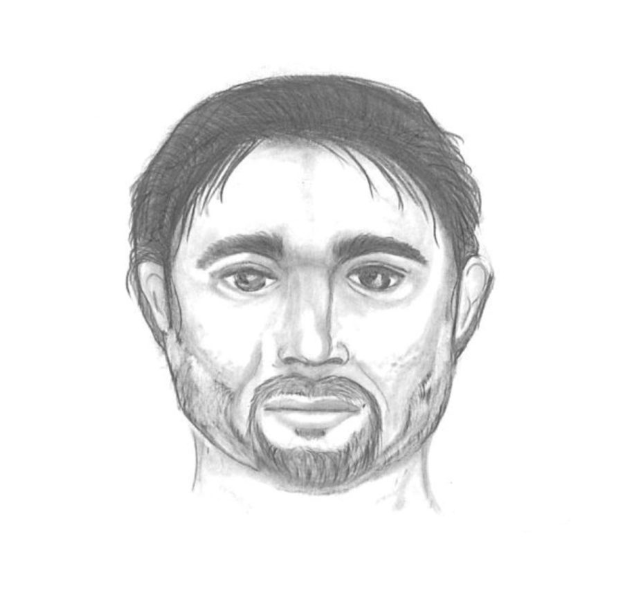 Police sketch of sexual assault suspect.