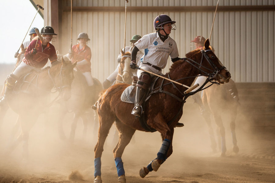 Rebecca Kozlowski of UK rides after the ball during the polo match against Virginia Tech at West Wind Stables on Saturday, January 31, 2015 in Lexington, Ky. Photo by Adam Pennavaria | Staff