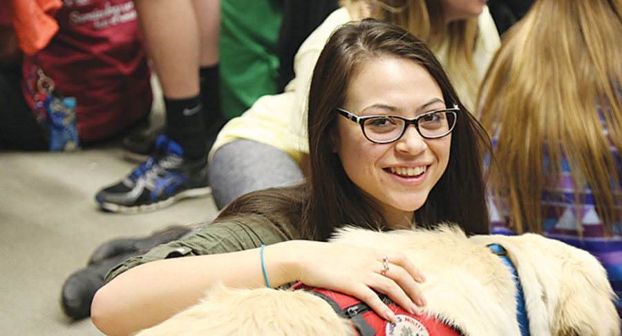 Pre-nursing freshman Rachel Brase plays with a dog named Coffee at the 4 Paws for Ability event in Lexington, Ky., on Tuesday, April 28, 2015. Photo by Lydia Emeric