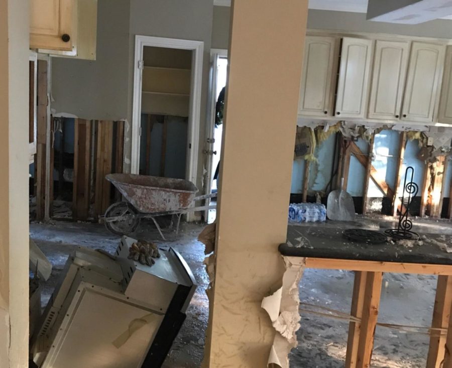 Merchandise, textiles and apparel senior, Lauren Winklers family home in Houston, Texas sustained considerable damage and flooding due to hurricane Harvey. 