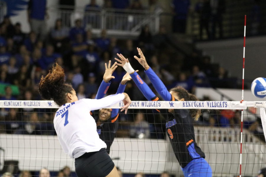 Katz Brown spikes during the match against Florida on Wednesday, November 1, 2017 in Lexington, Ky. Kentucky lost 3-0. Photo by Chase Phillips | Staff