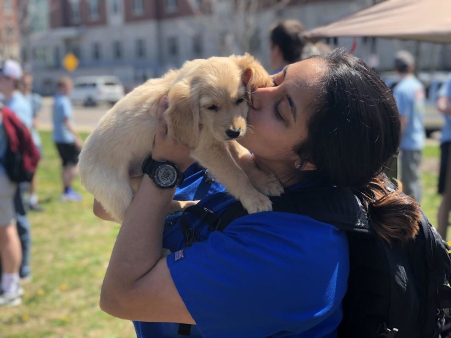 Sumaya+Shalash%2C+a+sophomore+nursing+student%2C+cuddles+a+puppy+at+Chi+Psi%E2%80%99s+event+%E2%80%9CPuppies+and+Popsicles%E2%80%9D+event%2C+located+across+from+the+90+on+Thursday%2C+April+12%2C+2018%2C+at+the+University+of+Kentucky+in+Lexington%2C+Kentucky.