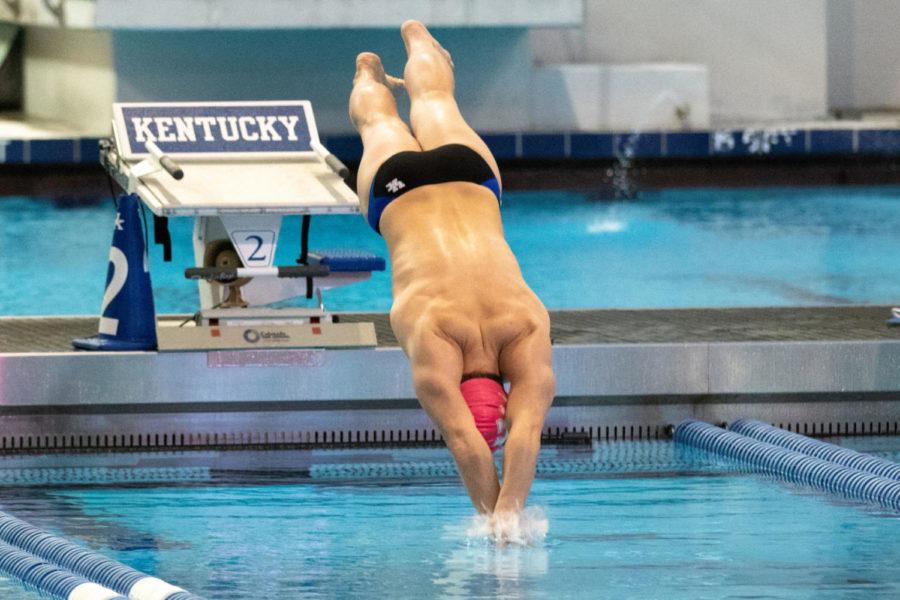 A UK swimmer diving into the pool. University of Kentuckys Swim and Dive had a meet with LSU on Tuesday, October 23, 2018 at Lancaster Aquatic Center in Lexington, Kentucky. Photo by Michael Clubb | Staff