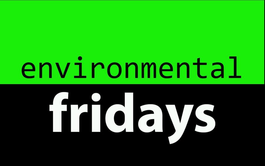 environmental+fridays
