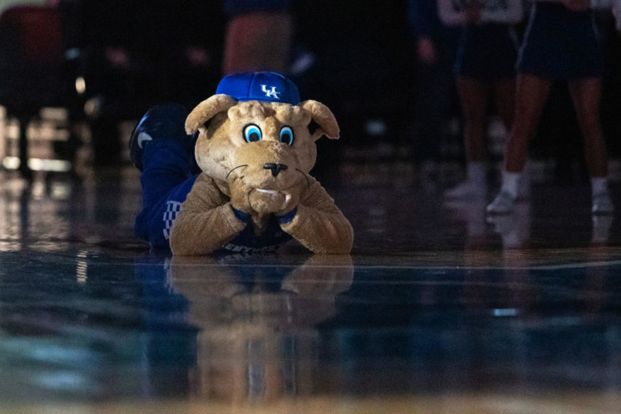 UKs+mascot+lies+down+on+the+court+during+introductions.+No.+11+UK+womens+basketball+team+lost+to+No.+19+Texas+A%26amp%3BM+62-55+at+Memorial+Coliseum+on+Thursday%2C+Feb.+28%2C+2019%2C+in+Lexington%2C+Kentucky.+Photo+by+Michael+Clubb+%7C+Staff