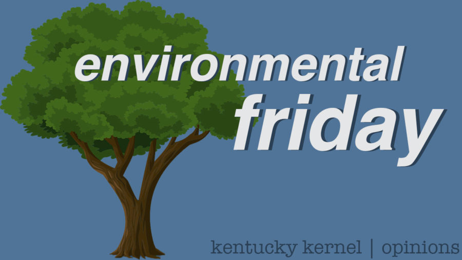 Environmental Fridays