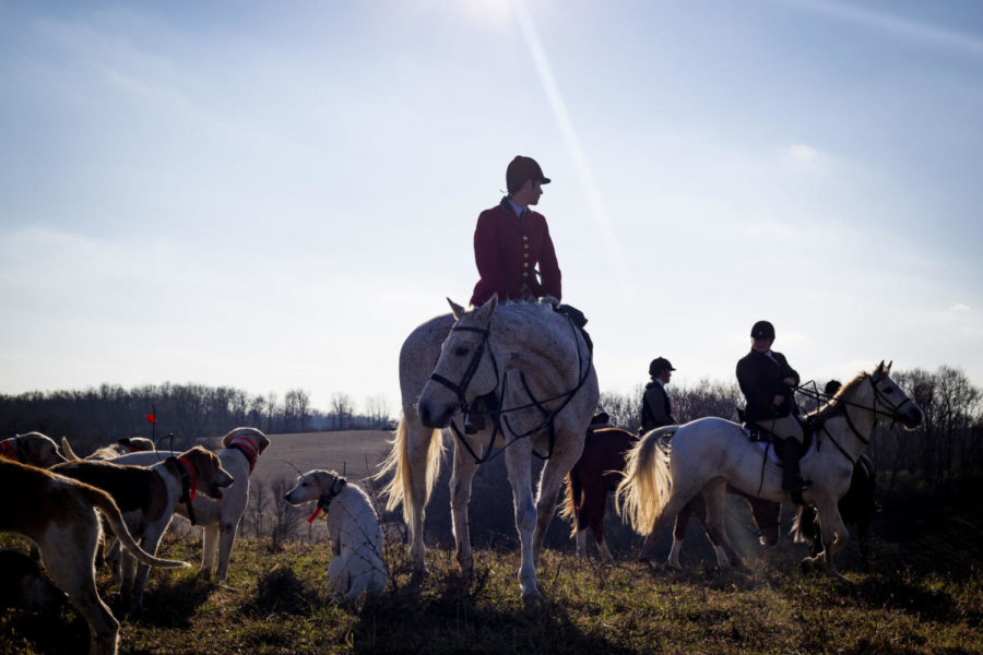 Aliina Keers leads members of the Iroquois Hunt Club on a hunt on Nov. 24, 2019, in Lexington, Kentucky. Photo by Arden Barnes | Staff