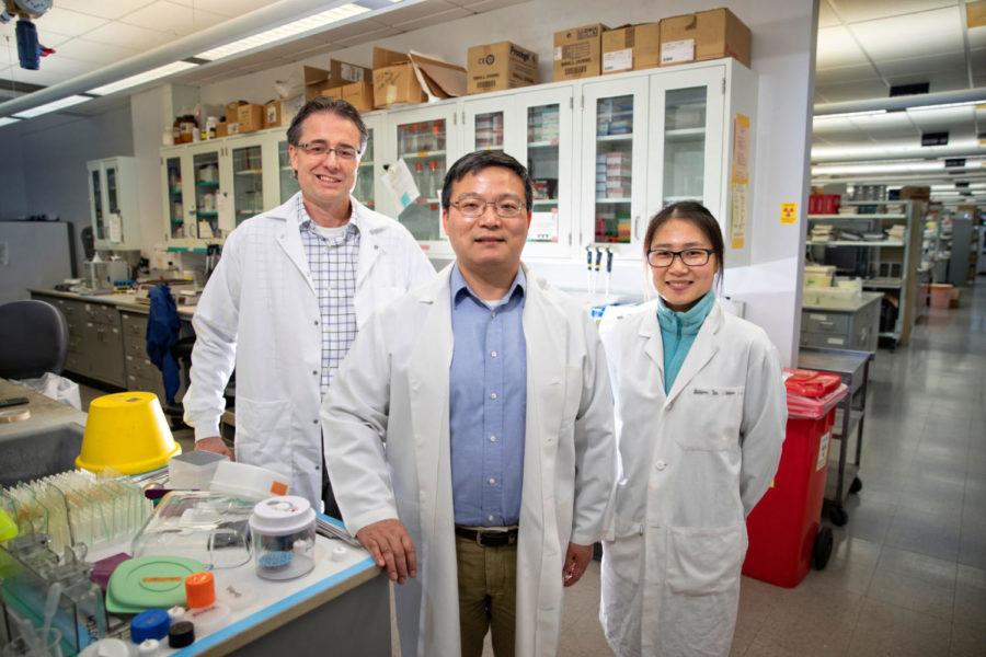 UK researchers (from left) Matthew Gentry, Haining Zhu, and Lisha Kuang discovered two antibiotics that showed promising signs of curing a form of frontotemporal dementia. Photo by Mark Cornelison | UKphoto