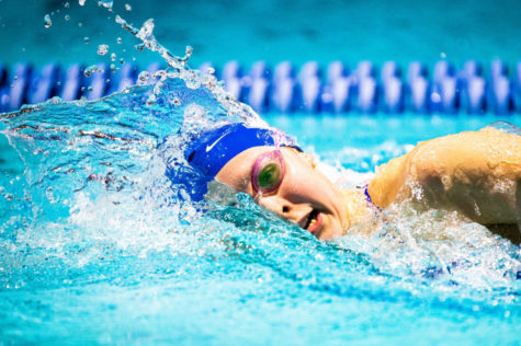 Kentucky junior Payton Neff swims in the womens 1000 yard freestyle during the meet against the University of Cincinnati on Friday, Jan. 31, 2020, at the Lancaster Aquatic Center in Lexington, Kentucky. Photo by Jordan Prather | Staff