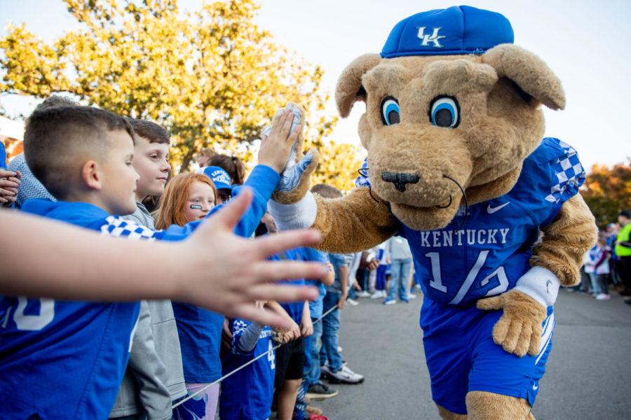 Scratch high fives fans during the Cat Walk before the UK vs. Tennessee football game on Saturday, Nov. 6, 2021, at Kroger Field in Lexington, Kentucky. Tennessee won 45-42. Photo by Jack Weaver | Staff