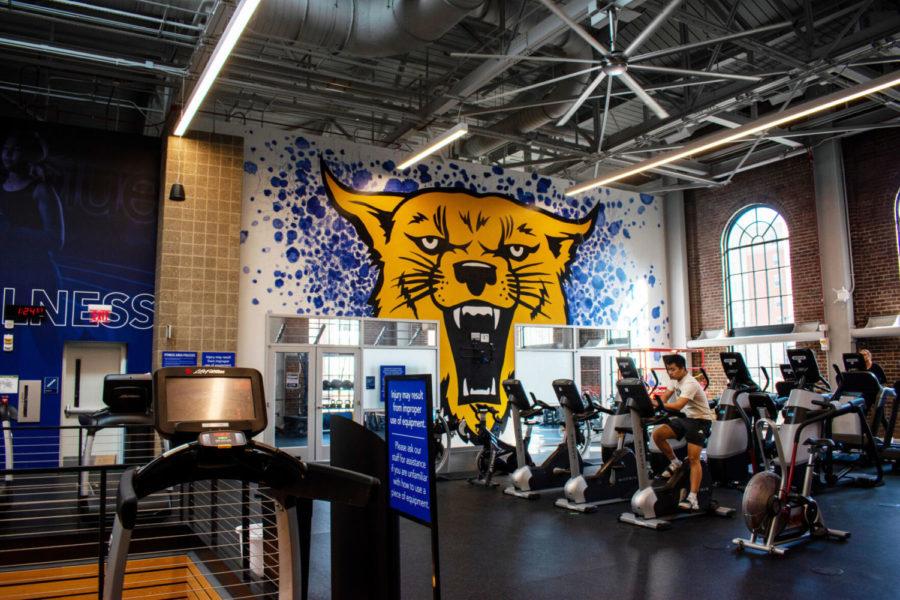 A mural of a wildcat is displayed in Alumni Gym on Wednesday, Jan. 12, 2022, in Lexington, Kentucky. Photo by Abbey Cutrer | Staff