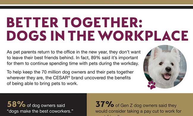 The+Benefits+of+Dogs+in+the+Workplace