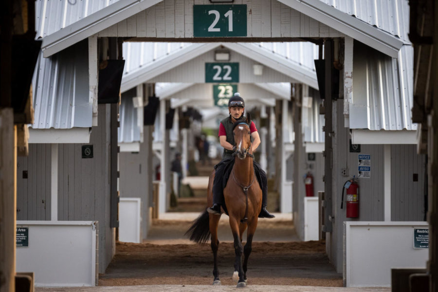 A horse walks through the stables during morning workouts on Saturday, April 10, 2021, at Keeneland in Lexington, Kentucky. Photo by Michael Clubb | Staff