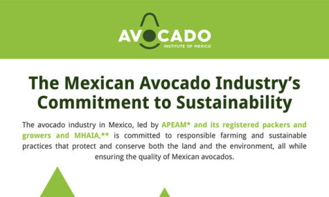The Mexican Avocado Industrys Commitment to Sustainability