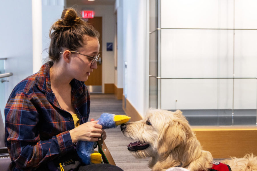 UK freshman Zoey Drexel sits in the Gatton Student Center with Scooby, a 4 Paws for Ability dog, on Friday, Jan. 27, 2023, in Lexington, Kentucky. Photo by Travis Fannon | Staff