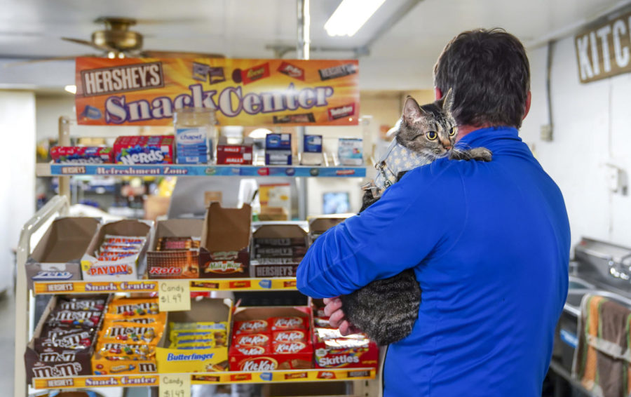 Mike Stanley comforts his cat Bubbles at Bald Knob Little Market in Frankfort, Kentucky on Thursday, Oct. 6, 2022. Photo by Bryce Towle.