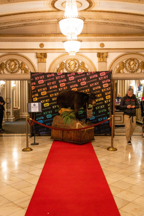 The Cocaine Bear taxidermy is displayed during the Cocaine Bear premiere on Friday, Feb. 24, 2023, at the Kentucky Theatre in Lexington, Kentucky. Photo by Brady Saylor | Staff