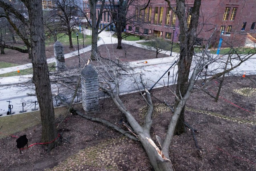 A fallen tree covers Administration Drive near the Gatton Student Center after damaging wind gusts hit the area on Friday, March 3, 2023, at the University of Kentucky in Lexington, Kentucky. Photo by Jack Weaver | Staff