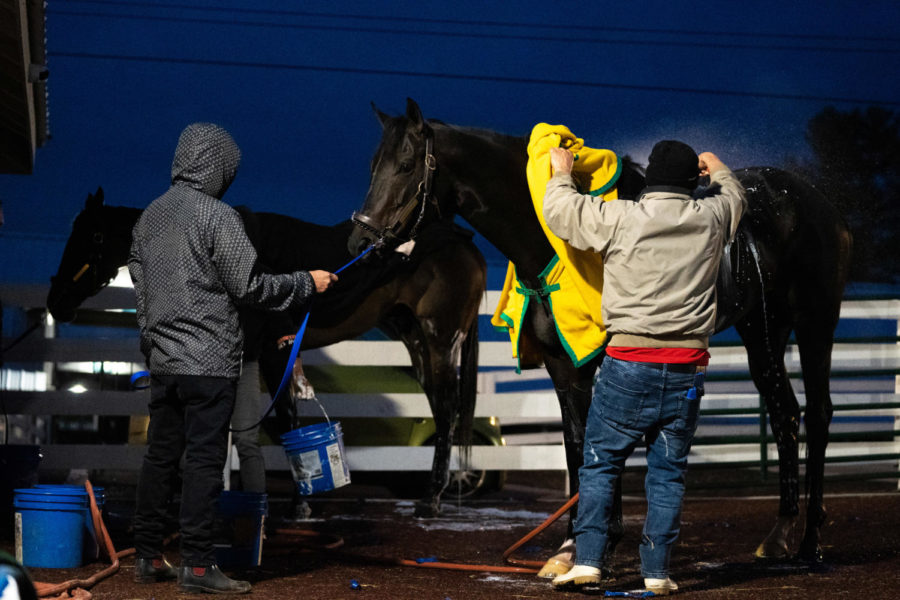 Horses are washed at the barns during morning training time on the opening day of the Spring Meet on Friday, April 7, 2023, at Keeneland in Lexington, Kentucky. Photo by Carter Skaggs | Staff