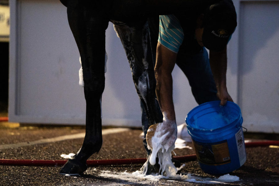 A horse gets a bath during morning training on the opening day of the Spring Meet on Friday, April 7, 2023, at Keeneland in Lexington, Kentucky. Photo by Carter Skaggs | Staff