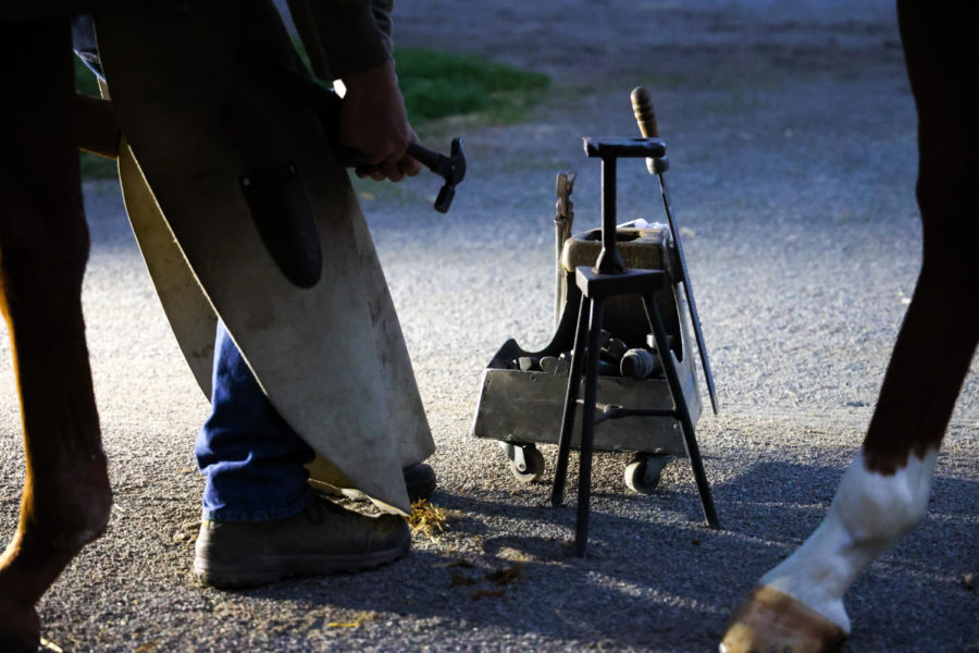 Tanner Knight replaces a horseshoe during morning training on the opening day of the Spring Meet on April 7, 2023, at Keeneland in Lexington, Kentucky. Photo by Abbey Cutrer | Staff