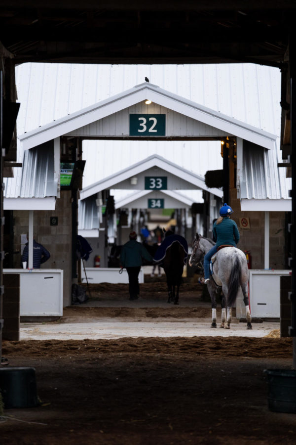 Horses and their riders get ready for morning training in the barns on the opening day of the Spring Meet on Friday, April 7, 2023, at Keeneland in Lexington, Kentucky. Photo by Carter Skaggs | Staff