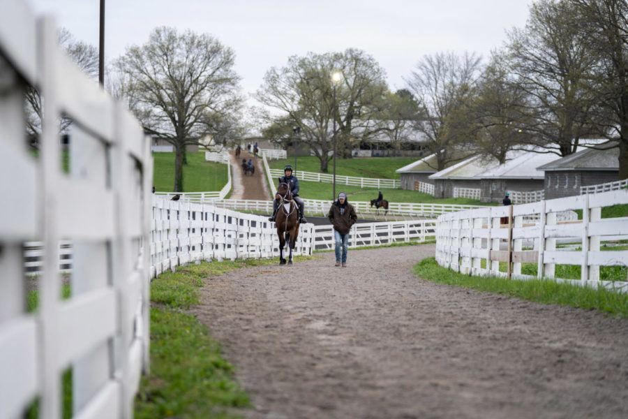A rider and a horse make their way to the main track during morning training on the opening day of the Spring Meet on Friday, April 7, 2023, at Keeneland in Lexington, Kentucky. Photo by Carter Skaggs | Staff