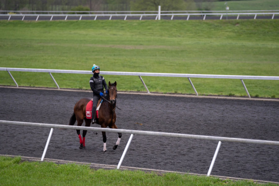 An exercise rider rides a horse along the practice track during morning training on the opening day of the Spring Meet on Friday, April 7, 2023, at Keeneland in Lexington, Kentucky. Photo by Carter Skaggs | Staff