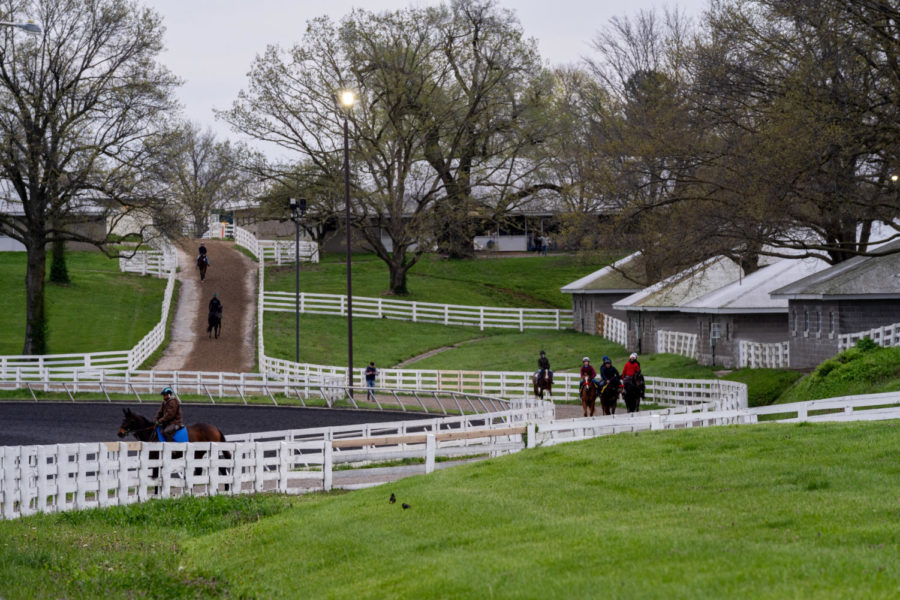 Horses move towards the main track and barns during morning training on the opening day of the Spring Meet on Friday, April 7, 2023, at Keeneland in Lexington, Kentucky. Photo by Carter Skaggs | Staff