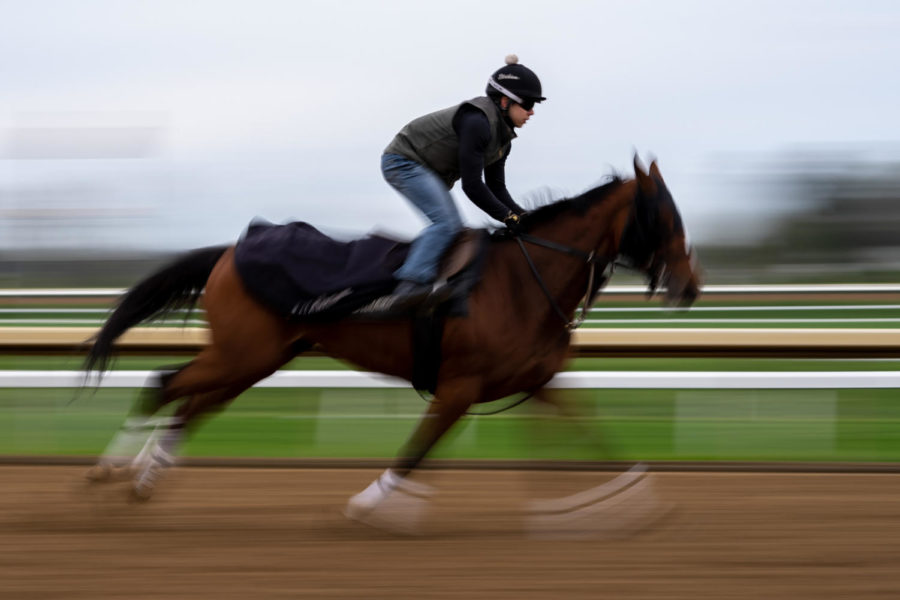 A horse and its rider race along the main track during morning training on the opening day of the Spring Meet on Friday, April 7, 2023, at Keeneland in Lexington, Kentucky. Photo by Carter Skaggs | Staff