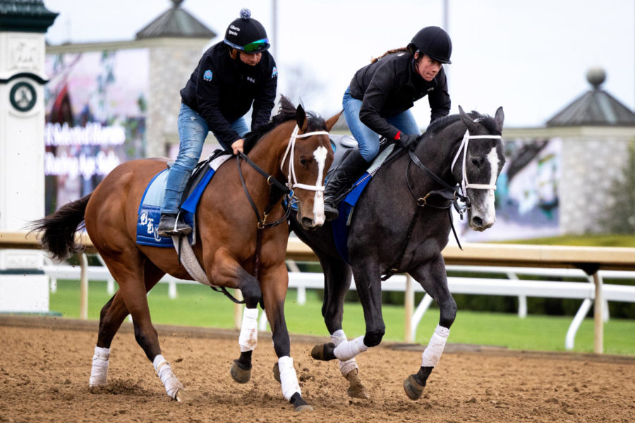 Horses exercise on the main track during morning training on the opening day of the Spring Meet on Friday, April 7, 2023, at Keeneland in Lexington, Kentucky. Photo by Olivia Hall | Staff