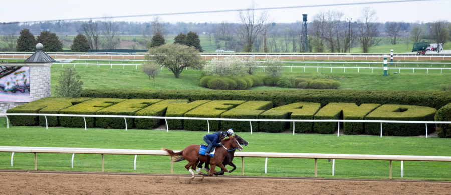 Horses exercise on the main track during morning training on the opening day of the Spring Meet on Friday, April 7, 2023, at Keeneland in Lexington, Kentucky. Photo by Olivia Hall | Staff