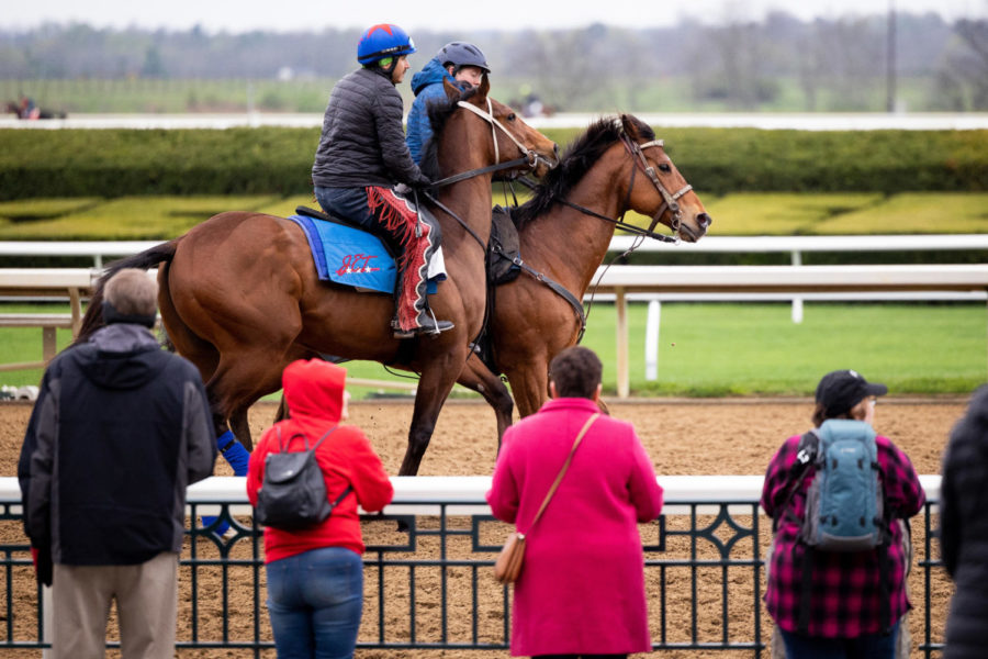 Horses walk along the main track during morning training on the opening day of the Spring Meet on Friday, April 7, 2023, at Keeneland in Lexington, Kentucky. Photo by Olivia Hall | Staff