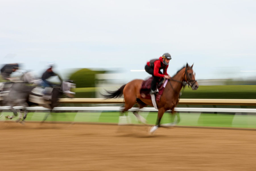 An exercise rider rides a horse on the main track during morning training on the opening day of the Spring Meet on April 7, 2023, at Keeneland in Lexington, Kentucky. Photo by Abbey Cutrer | Staff