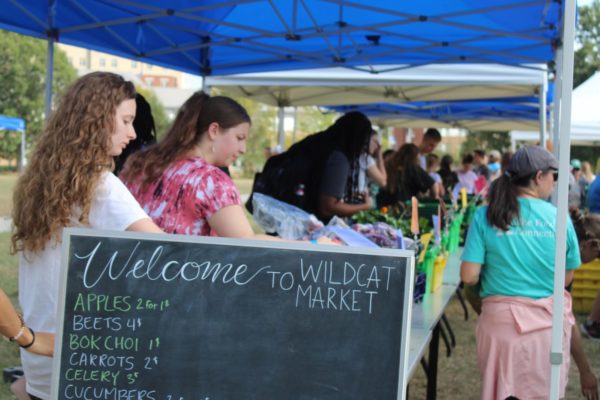 Wildcat Market attendees pick out produce at the South Lawn on Wednesday, Sept. 20. Photo by Patti Doud. 