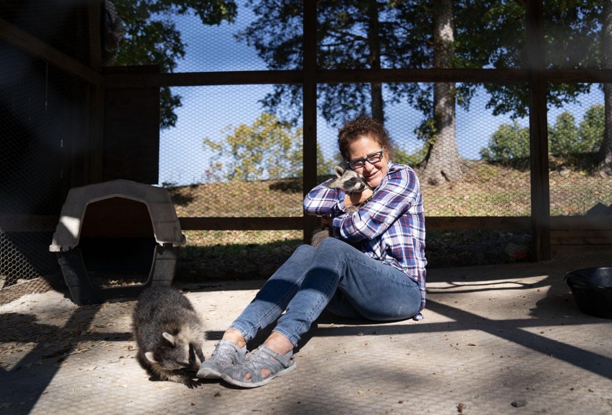 Raccoon rehabber and friend of Angela Cox, founder of Critter Ridge Sanctuary, Robin Combs embraces Addy while Hattie investigates her foot on Thursday, Oct. 12, 2023 in Frankfort, Kentucky.
