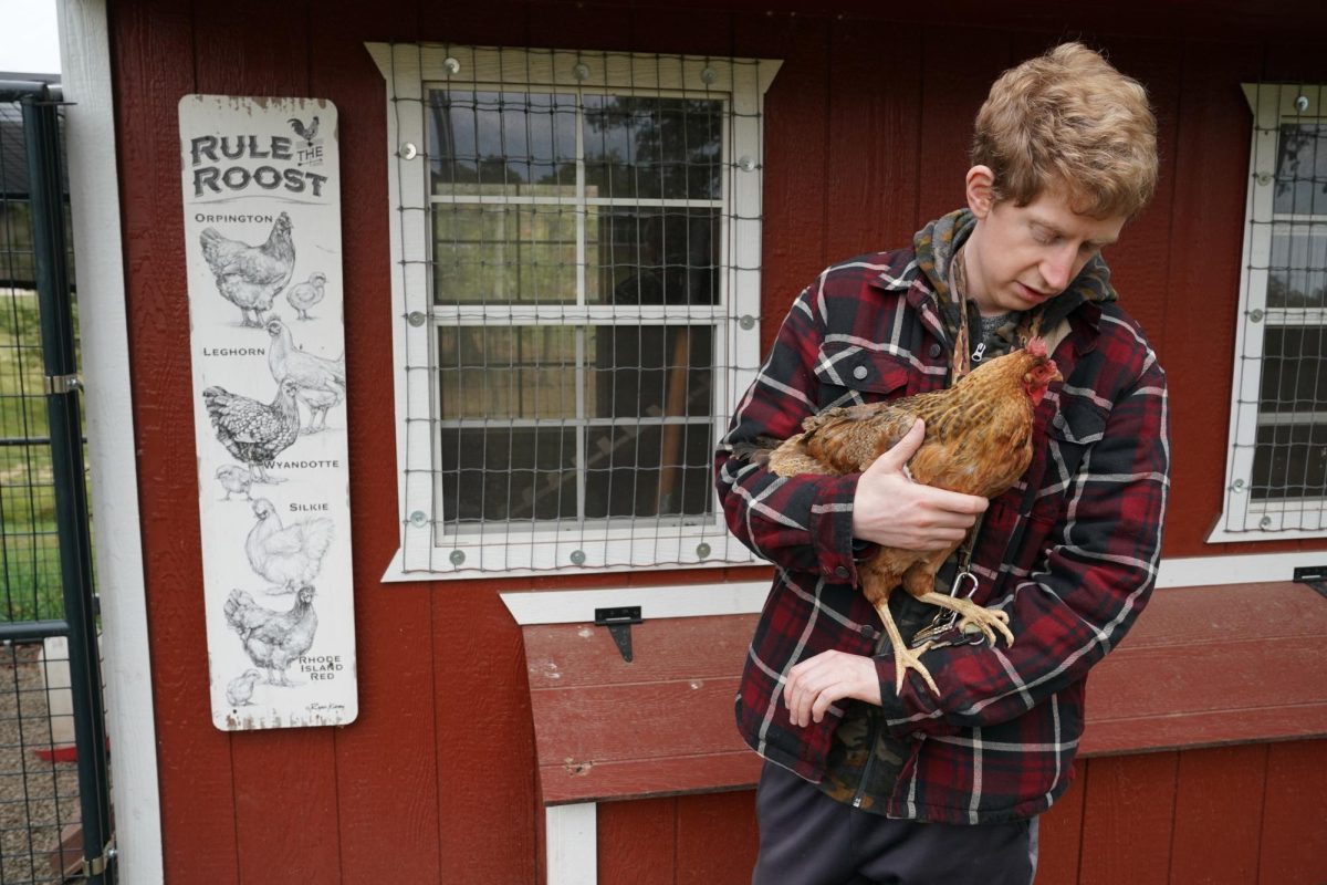 Andrew Adams, student, with his Americana chicken on Thursday, Oct 12, 2023, outside on Stewart Home School’s campus. Adams has had chickens for as long as he can remember to where his mom wrote the book, “The Chicken Who Saved Us”, about one of his chickens and his bone marrow transplant. Photo by Carlee Hogsten.
