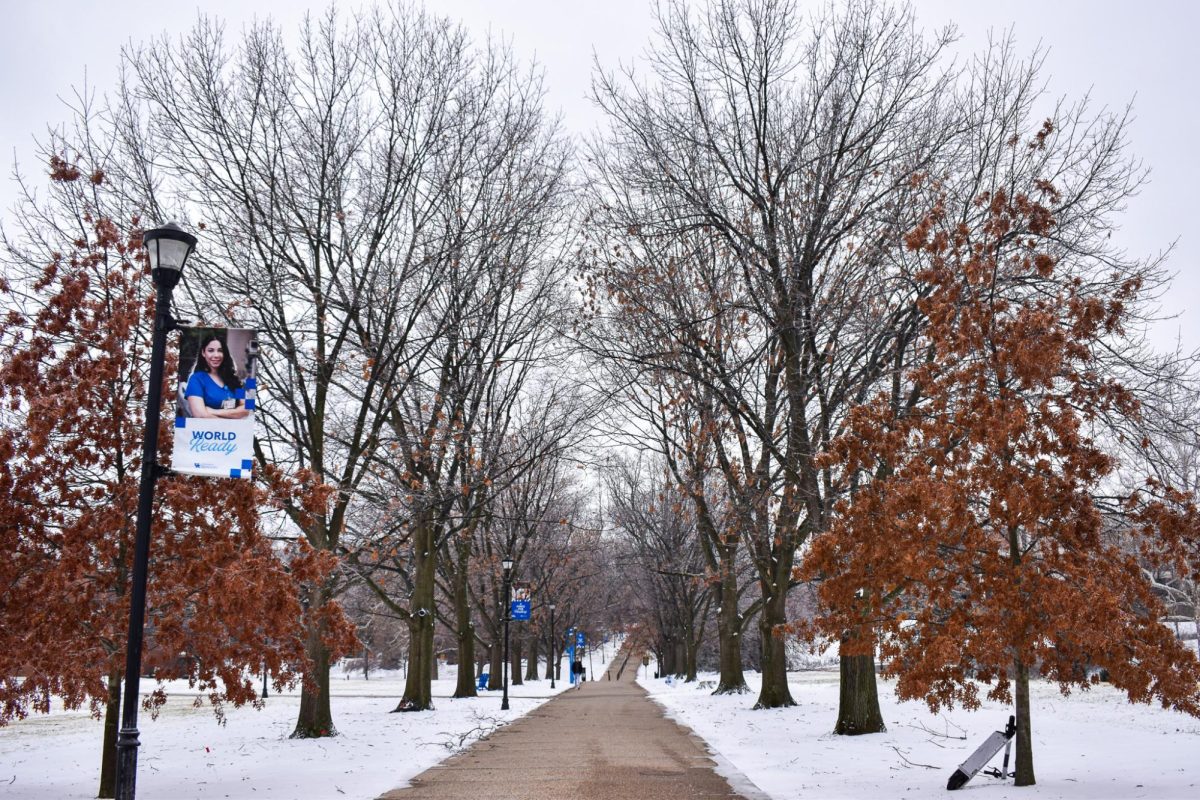 Snow fills campus on Friday, Feb. 4, 2022, at the University of Kentucky in Lexington, Kentucky. Photo by Abbey Cutrer | Staff