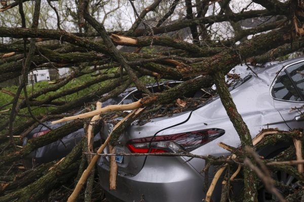 Cars damaged from debris from the first round of storms near the Taylor Education Building on Tuesday, April 2, 2024, at the University of Kentucky in Lexington, Kentucky. Photo by Matthew Mueller | Staff