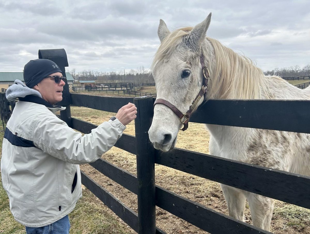 Silver Charm in his enclosure with a visitor on Saturday, February 24, 2024, at Old Friends Farm in Georgetown, Kentucky. Photo by Alexandra Gooch | Staff