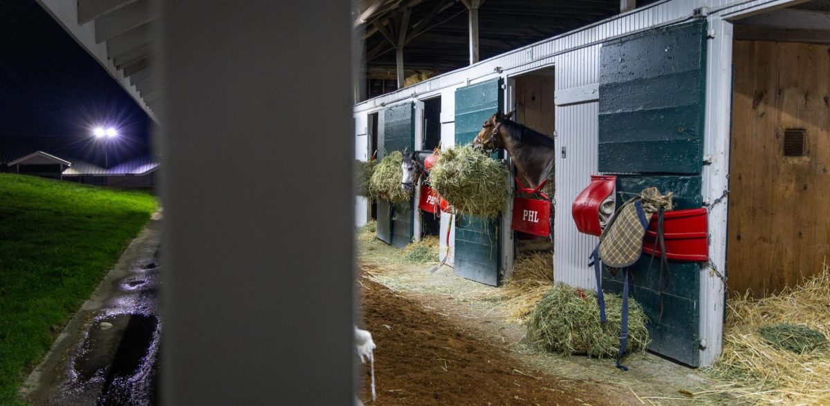 Horses eat hay in their stables during morning training on the opening day of the Spring Meet on Friday, April 5, 2024, at Keeneland in Lexington, Kentucky. Photo by Samuel Colmar | Staff