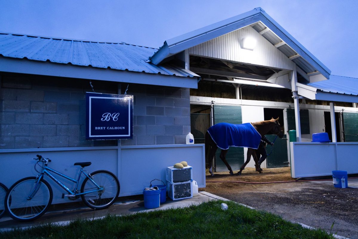 A horse is walked around their barn during morning training on the opening day of the Spring Meet on Friday, April 5, 2024, at Keeneland in Lexington, Kentucky. Photo by Samuel Colmar | Staff