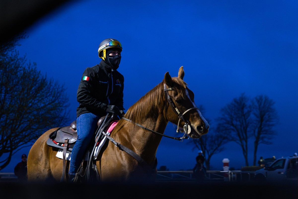 An exercise rider walks their horse during morning training on the opening day of the Spring Meet on Friday, April 5, 2024, at Keeneland in Lexington, Kentucky. Photo by Samuel Colmar | Staff