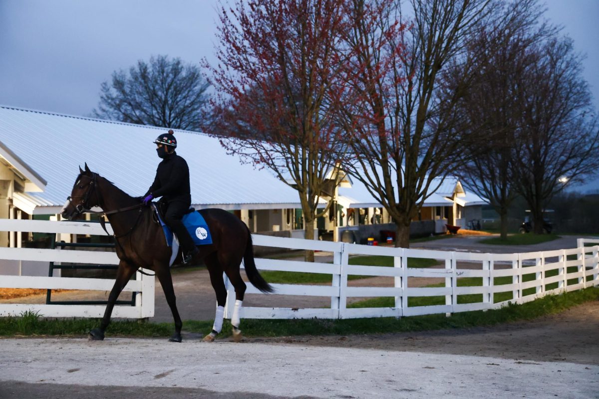 An+exercise+rider+walks+their+horse+toward+the+main+track+during+morning+training+on+the+opening+day+of+the+Spring+Meet+on+Friday%2C+April+5%2C+2024%2C+at+Keeneland+in+Lexington%2C+Kentucky.+Photo+by+Abbey+Cutrer+%7C+Staff