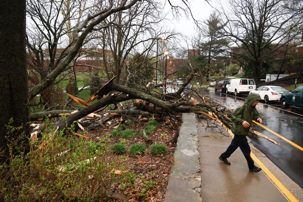 UK groundskeepers assess the damage from a tree knocked down behind the Whitehall Classroom Building and Patterson Office Tower on Tuesday, April 2, 2024, at the University of Kentucky in Lexington, Kentucky. Photo by Abbey Cutrer | Staff