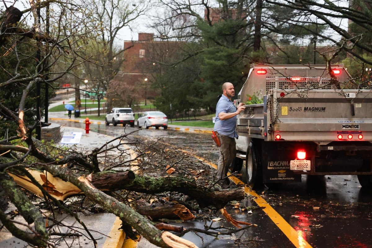 Tom Fricker, a UK groundskeeper, assesses the damage of a knocked down tree on Saturday, Tuesday, April 2, 2024, at the University of Kentucky in Lexington, Kentucky. Photo by Abbey Cutrer | Staff
