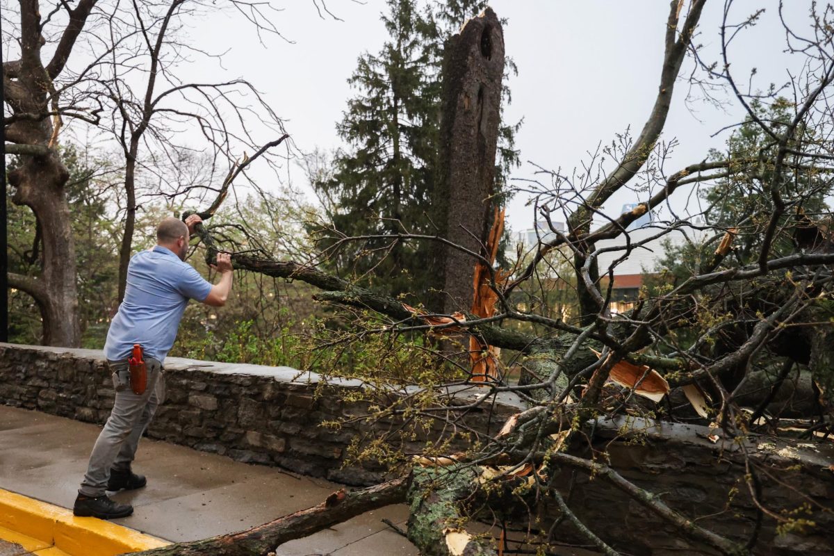 Tom Fricker, a UK groundskeeper, assesses the damage of a knocked down tree on Saturday, Tuesday, April 2, 2024, at the University of Kentucky in Lexington, Kentucky. Photo by Abbey Cutrer | Staff