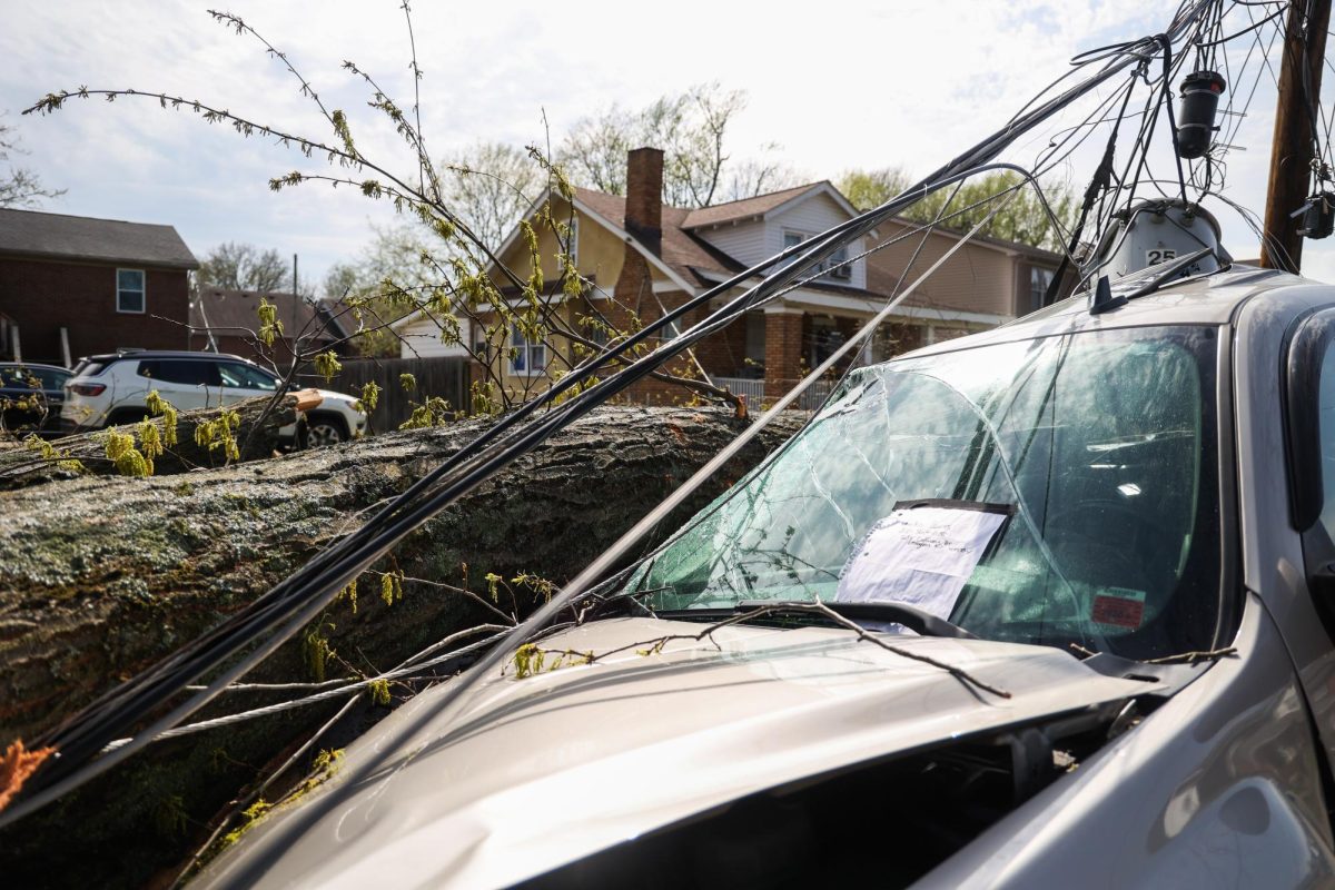 A car is crushed by a tree and telephone pole after severe weather on Tuesday, April 2, 2024, on University Avenue in Lexington, Kentucky. Photo by Abbey Cutrer | Staff